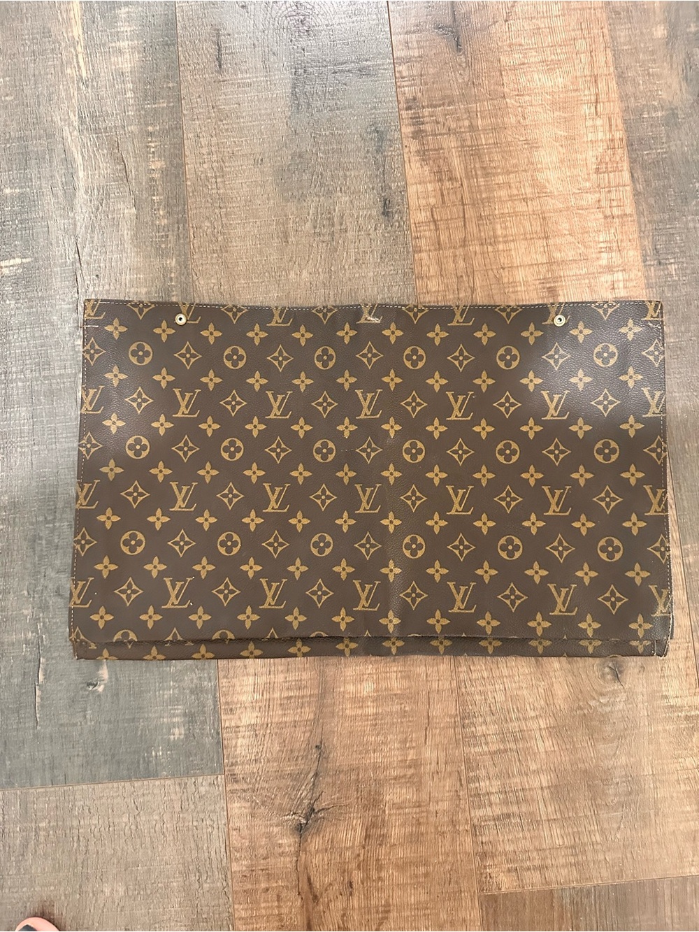 Louis Vuitton Monogram Canvas garment bag insert pouch 19x12